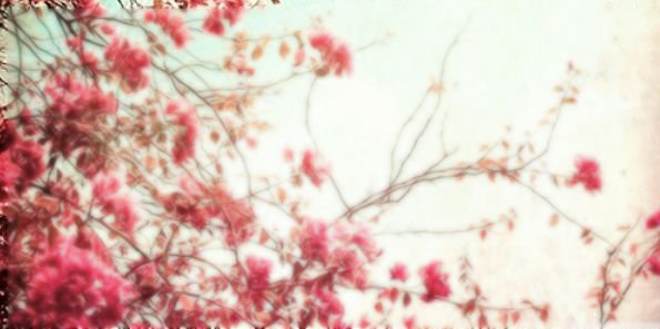 _Amirax's profile banner image