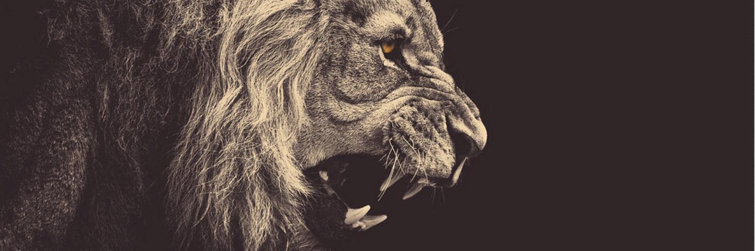 SinghSunnyM's profile banner image