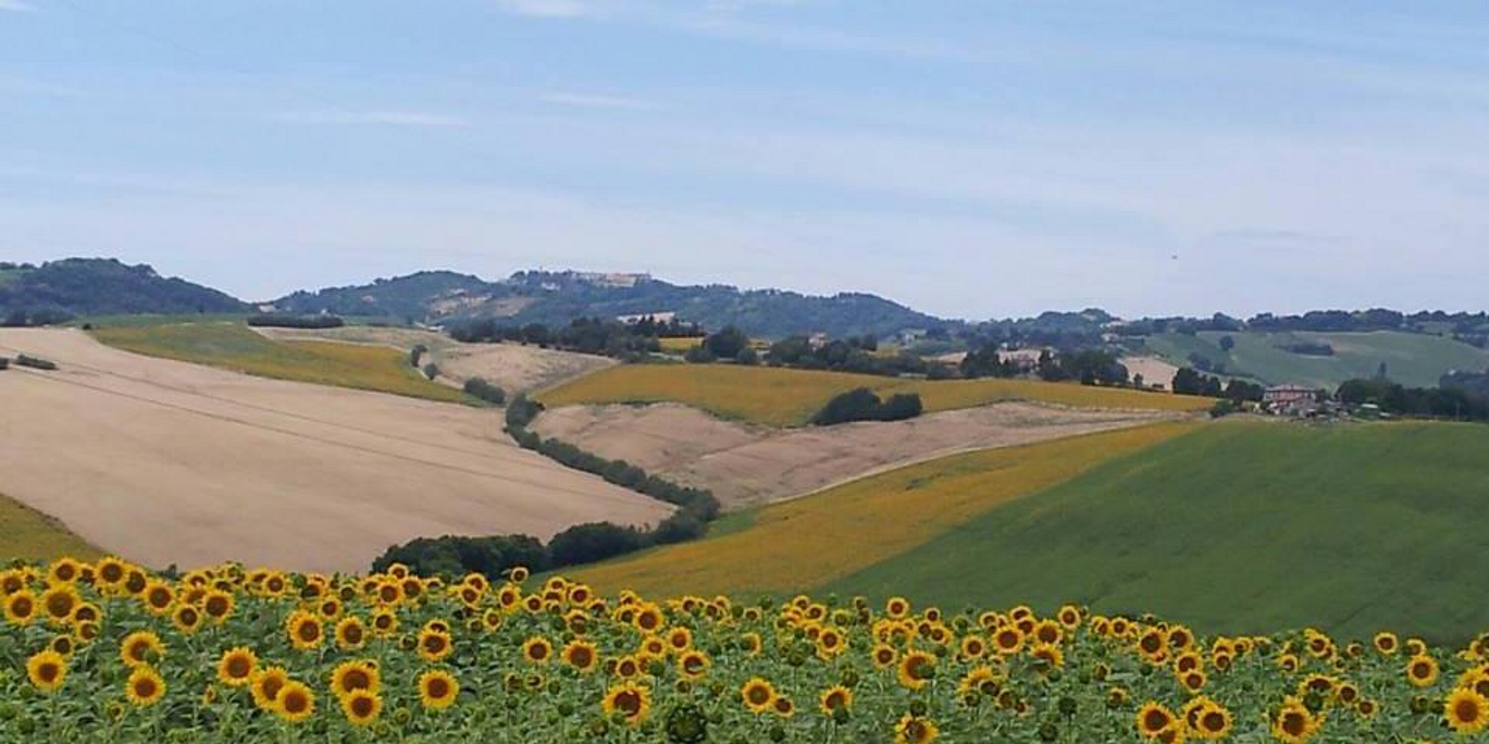 AlessiaSerretti's profile banner image