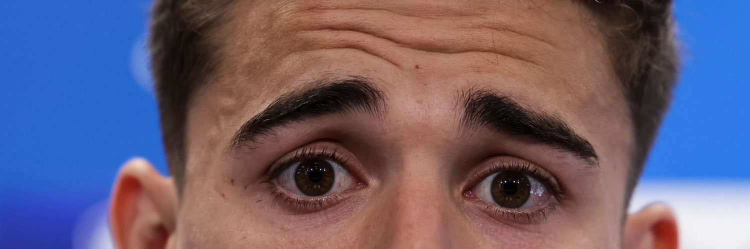 зива давид banner