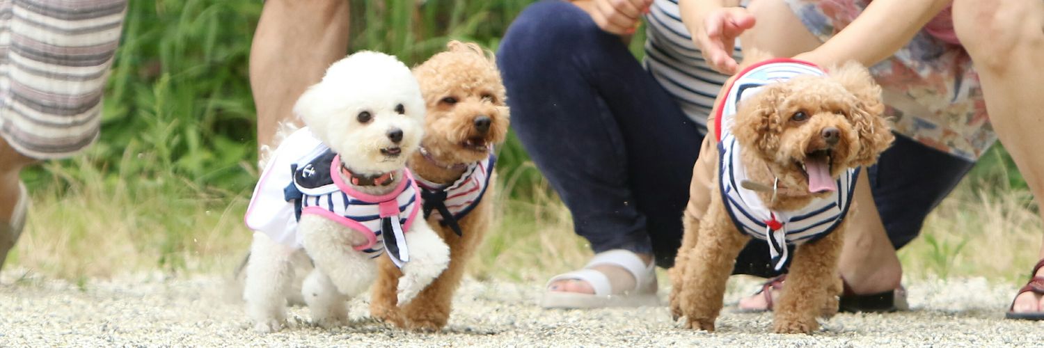 run_khk's profile banner image