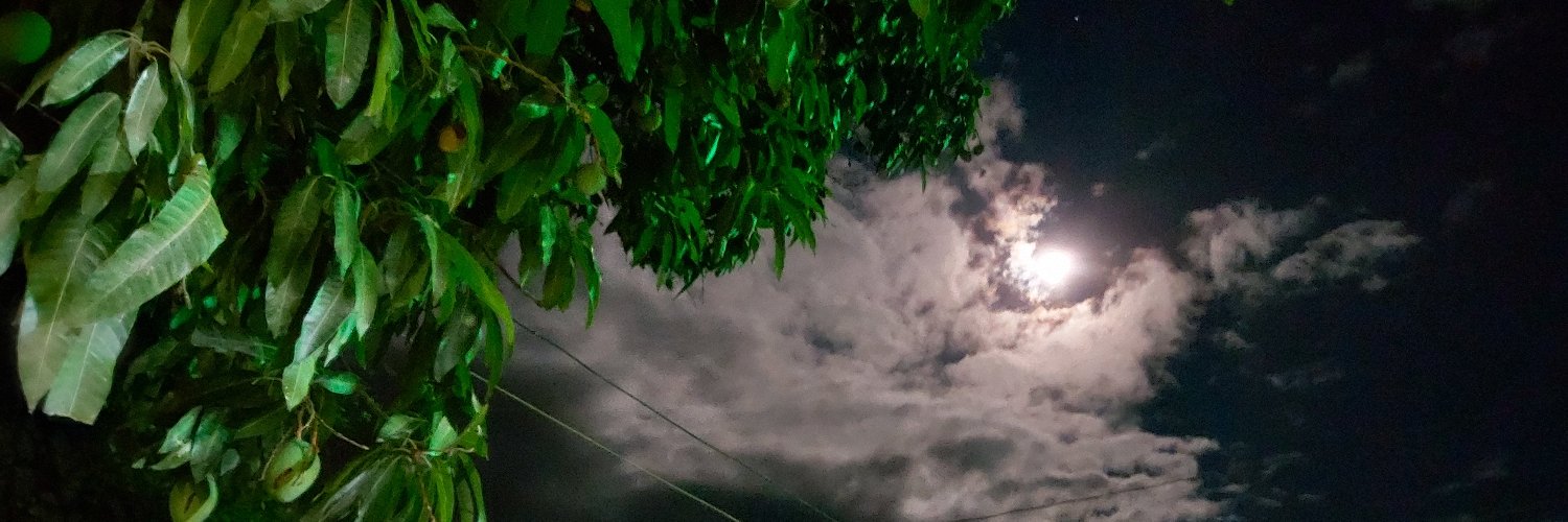 AletiaStrada's profile banner image