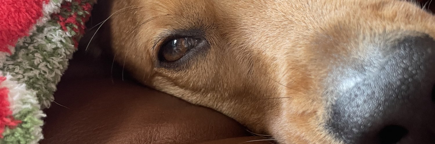 mollyisclassy's profile banner image