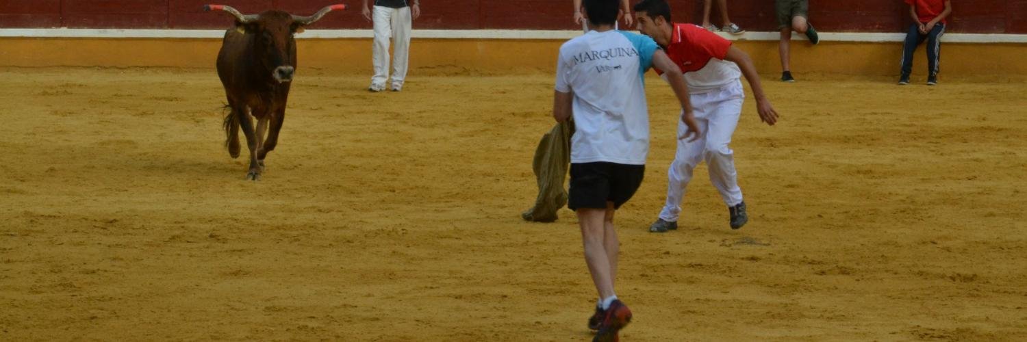 gabripedrola's profile banner image