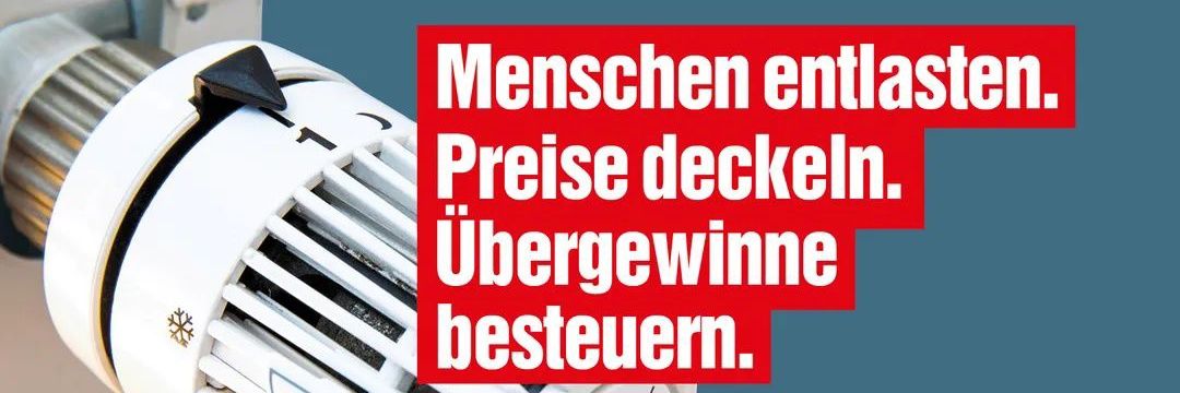 DIE LINKE Dithmarschen banner