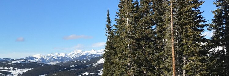 jmeyer413's profile banner image