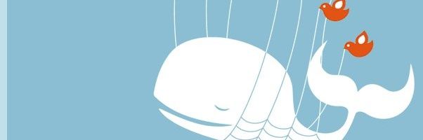 bru_edlon's profile banner image