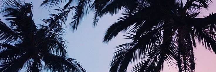 LustTaylor's profile banner image