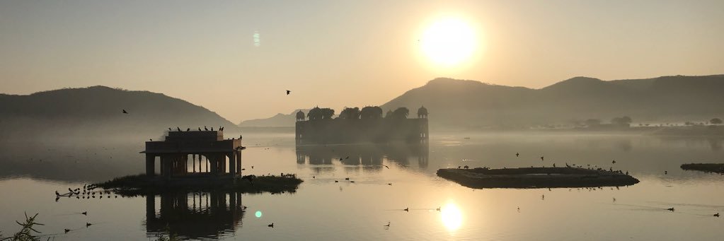 Zoe Woolsoncroft banner