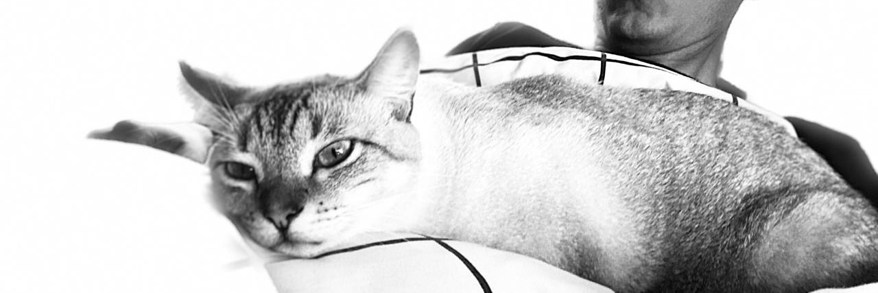 joaofaccio's profile banner image