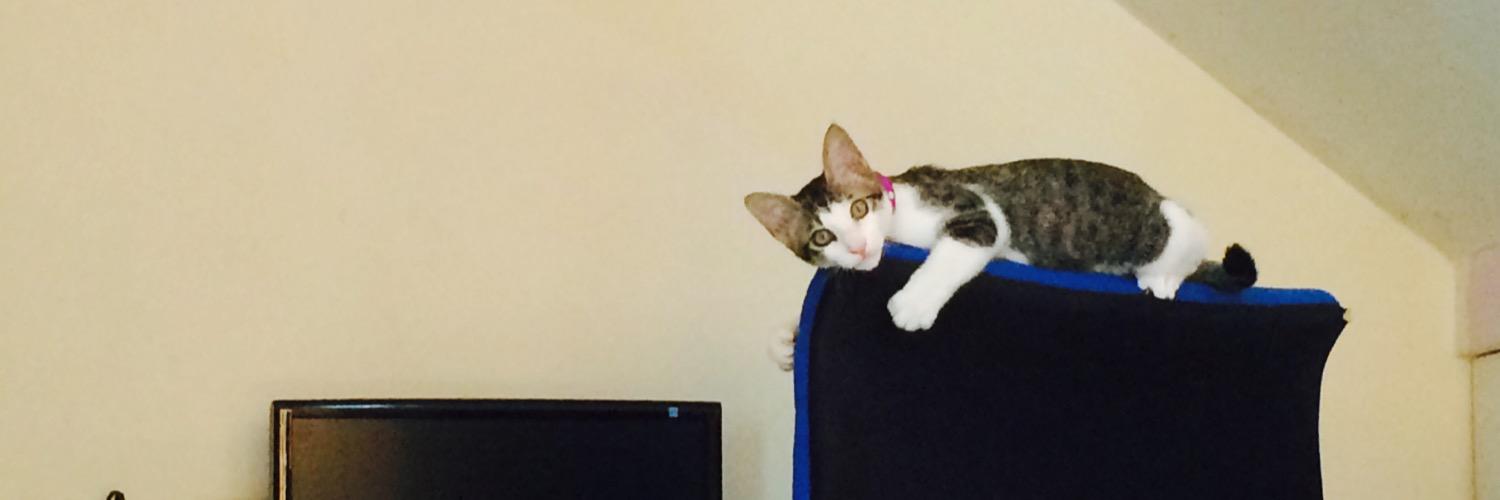 Jassminng's profile banner image