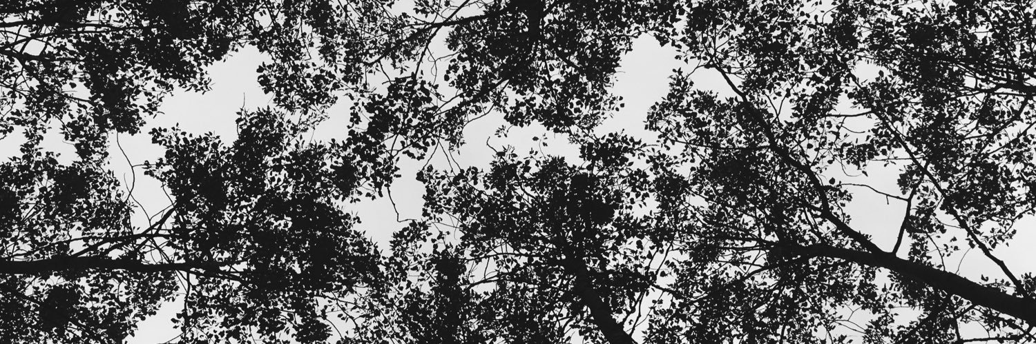 kbaston23's profile banner image