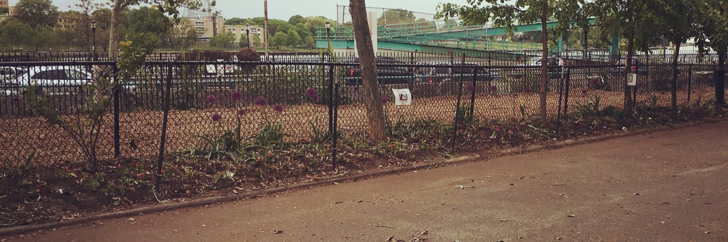 Toms Dog Run banner