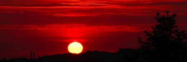 Stargazer3000 Profile Banner