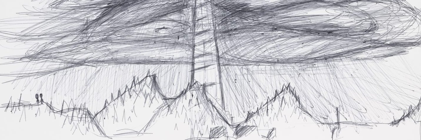 teddycarolan's profile banner image