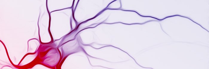 GTARenoPlus's profile banner image