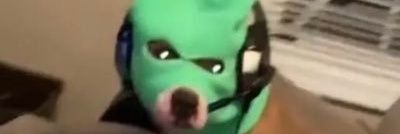 Joexter_'s profile banner image