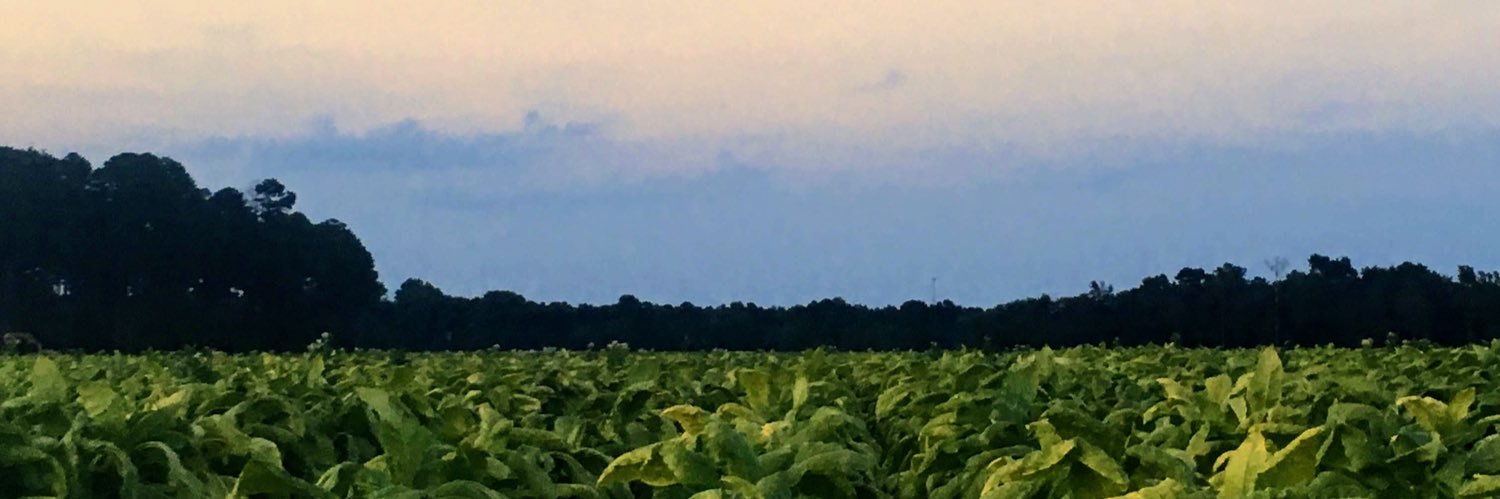 maryetyndall's profile banner image