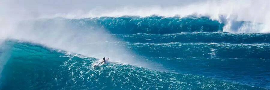 Dwight Denim-Denham banner