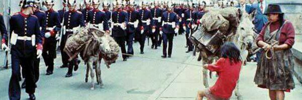 REBEGE Profile Banner