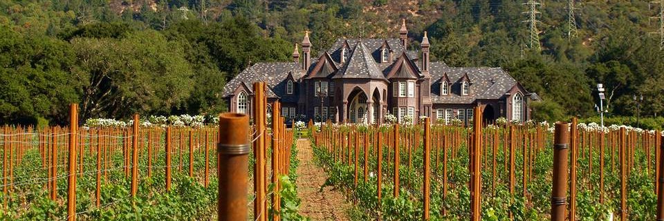 artisanwinetour's profile banner image