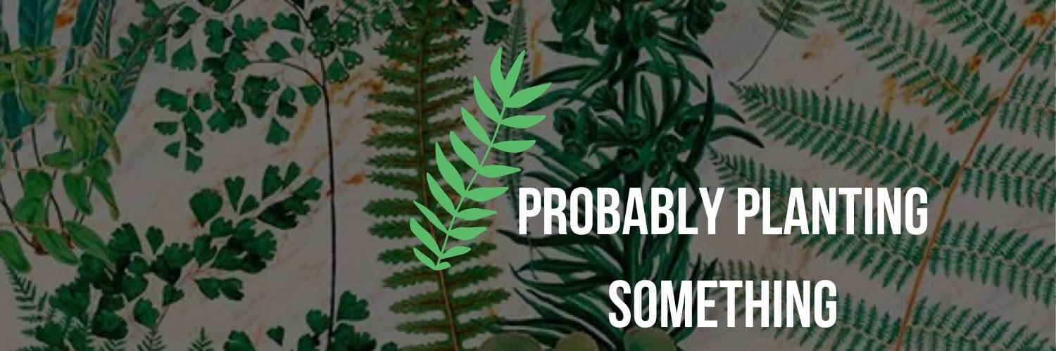 ItsMYAlife15's profile banner image