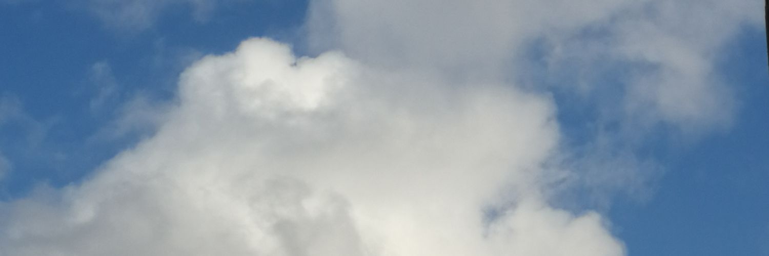 Lobeznongiol's profile banner image
