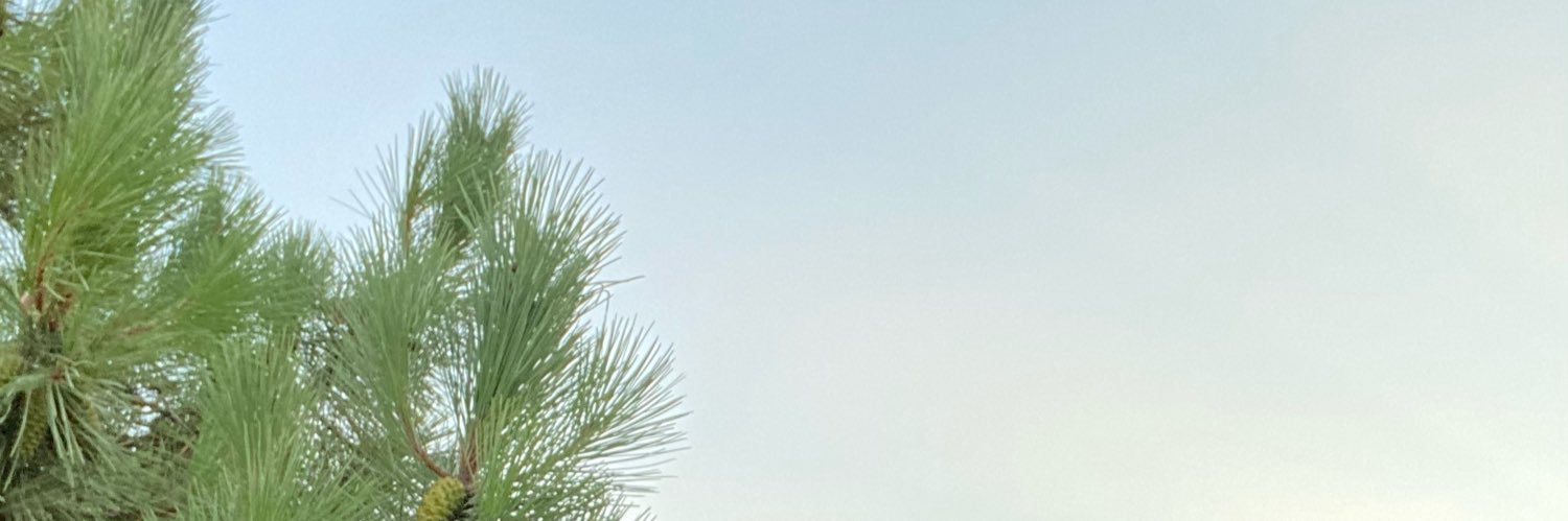 sevgyildirm's profile banner image