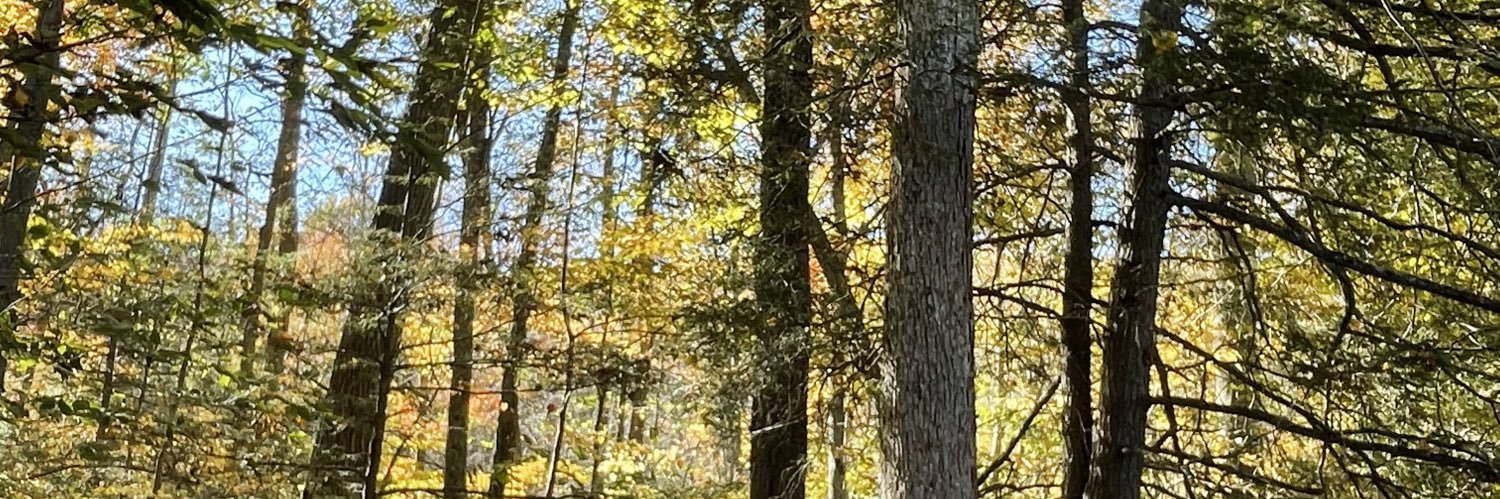JHasselberger's profile banner image