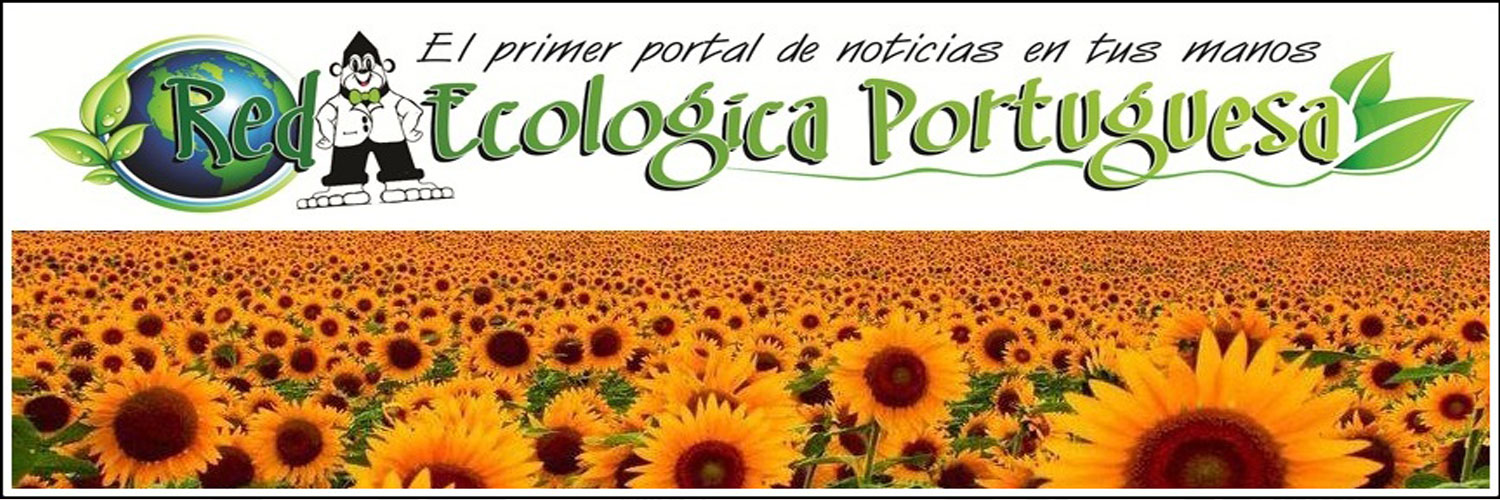 ecoportuguesa's profile banner image