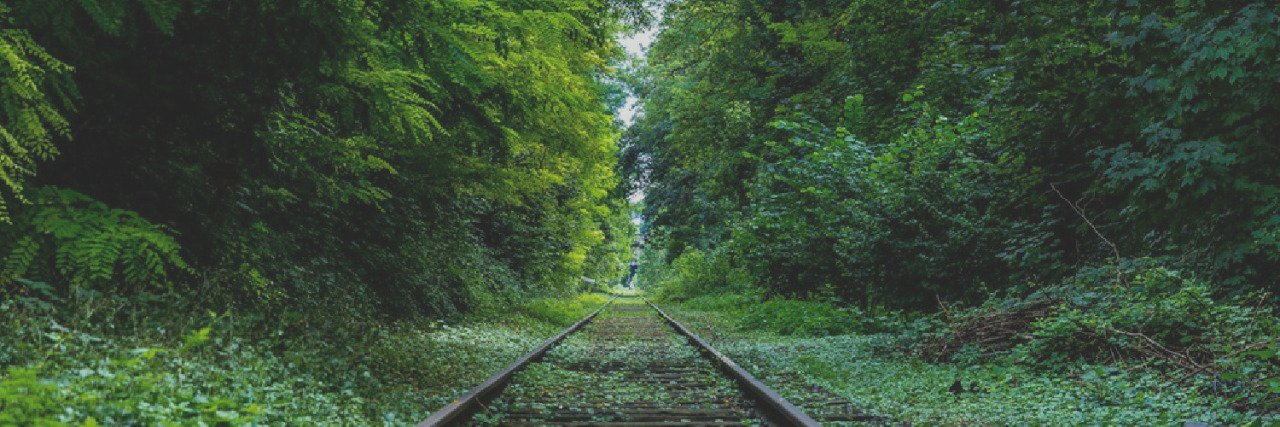 Diana Quattrone banner