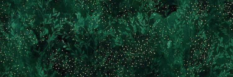 caitdm's profile banner image