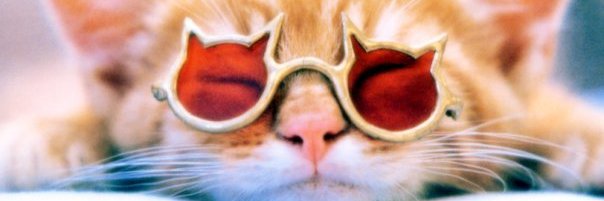 anto_2912's profile banner image