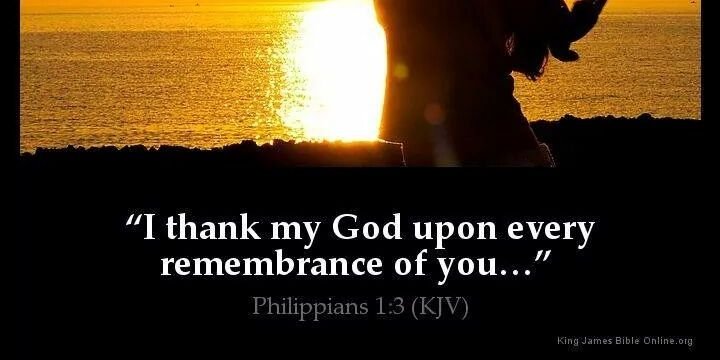 scoitty's profile banner image