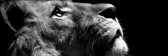 Jose_Fran18's profile banner image