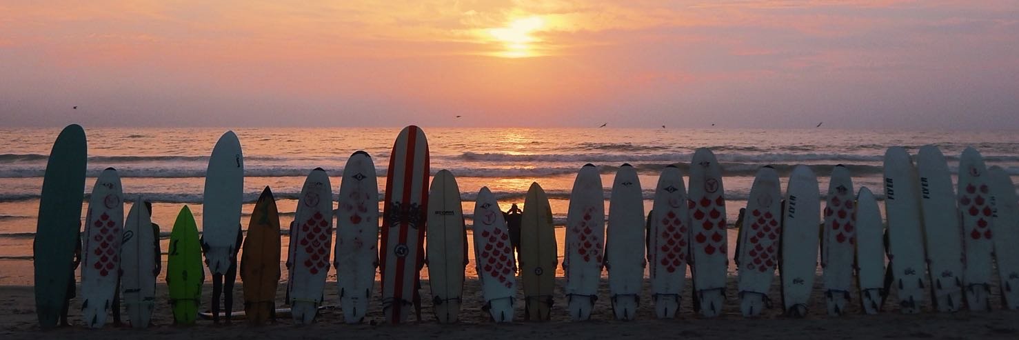 Cristina Lourosa banner