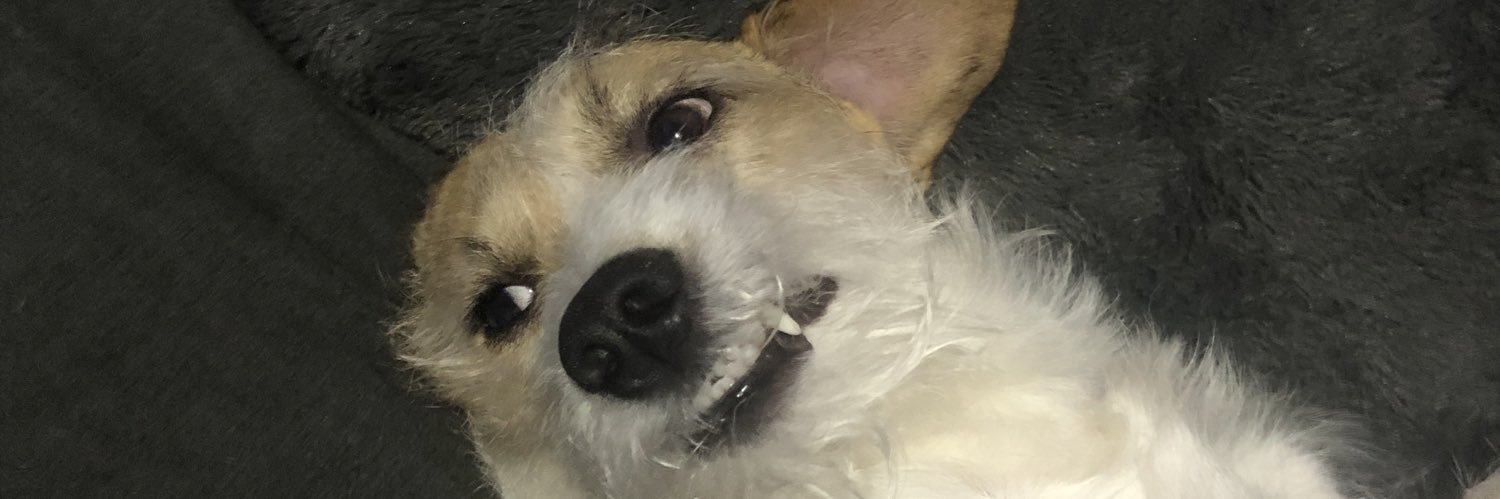 KevinWolfay's profile banner image