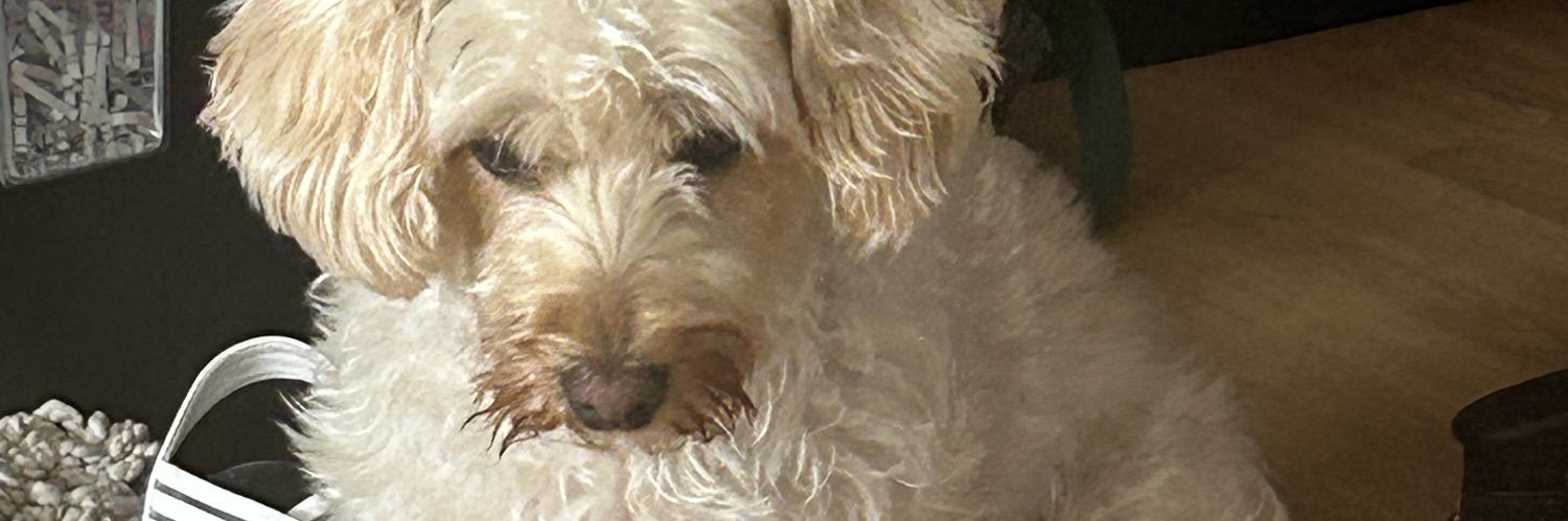 calljojomc's profile banner image