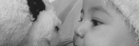 Bubapanda's profile banner image