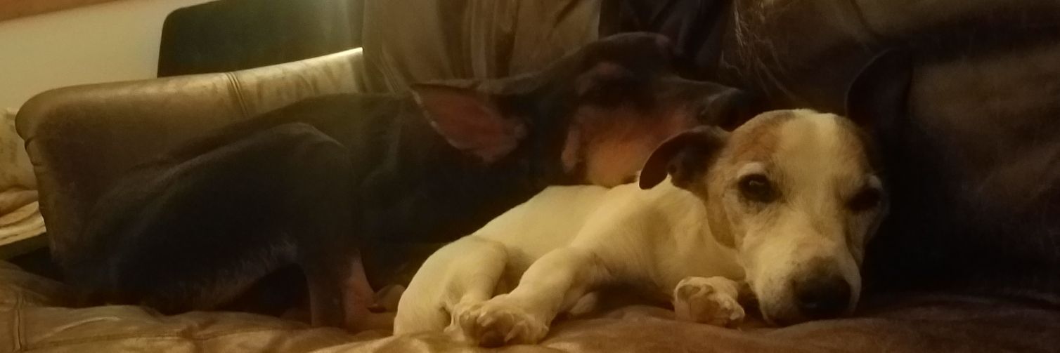amberjane1994's profile banner image