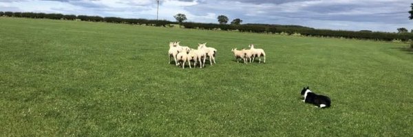 Smudger622 Profile Banner