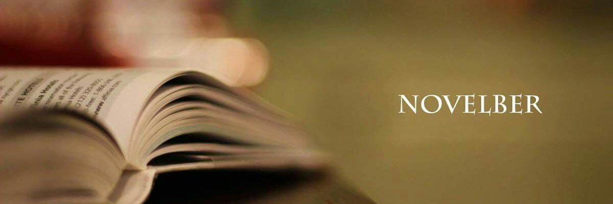 Novelber_TH's profile banner image