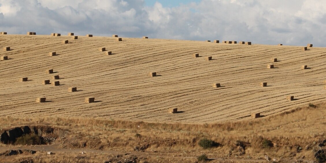 Pablo de la Fuente Brun banner