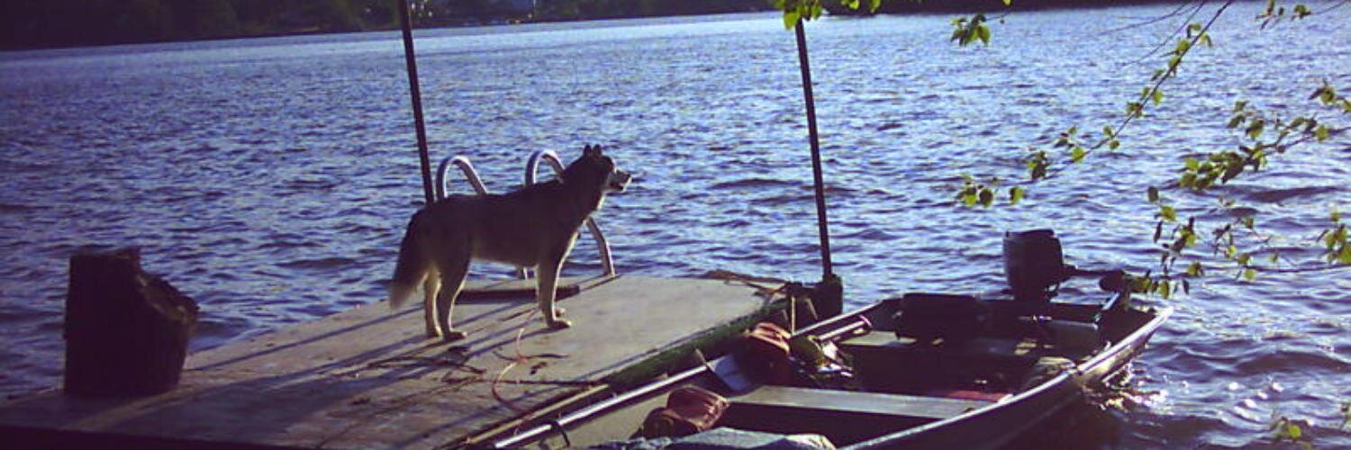 David M Hocker banner