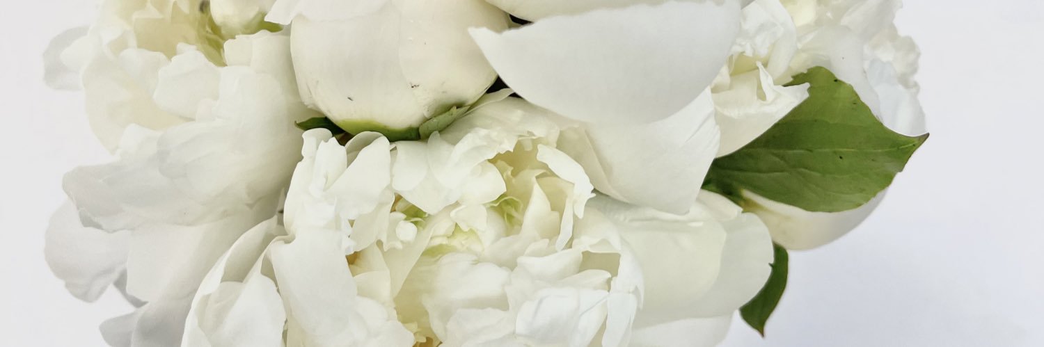 1_AleCabrera's profile banner image