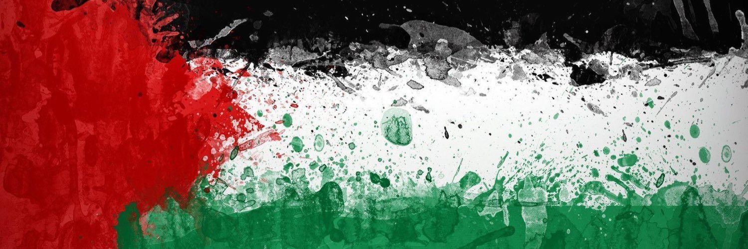 Falastini15's profile banner image