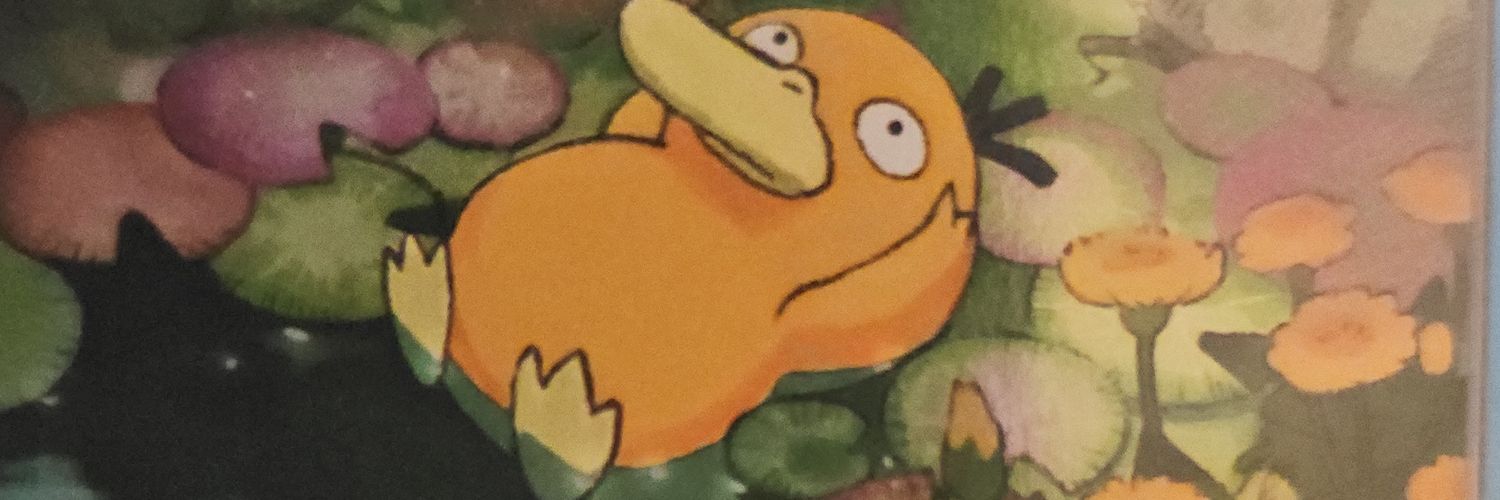 Patrick banner