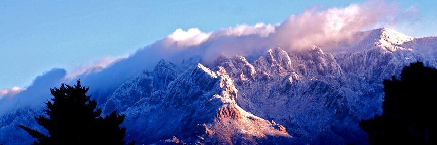 Journal North banner