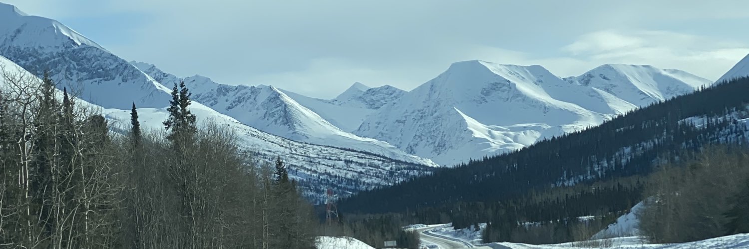 Debbie Potter banner