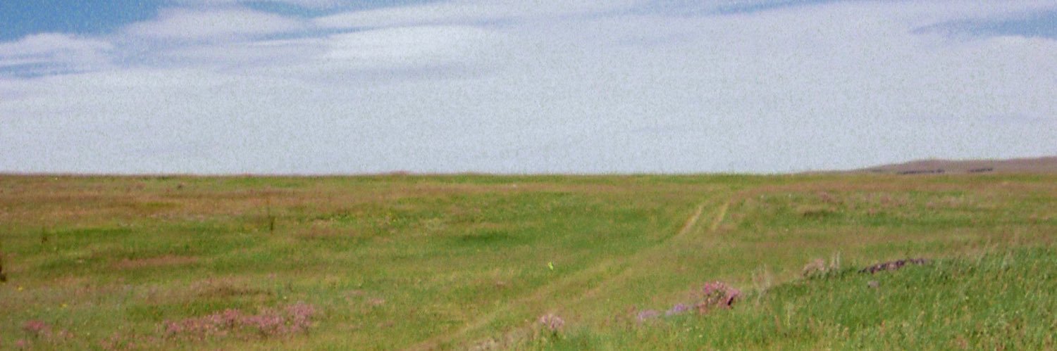 DelsAviles's profile banner image